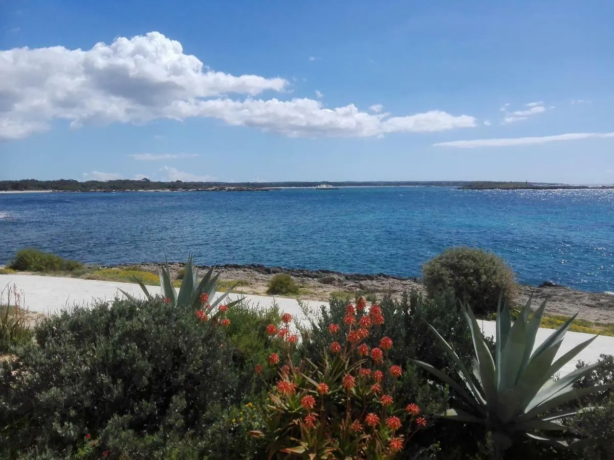 Son Coves Petit Villa Campos